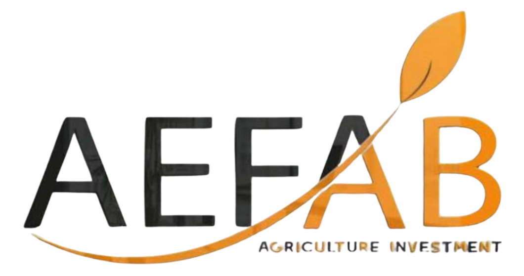 AEFAB